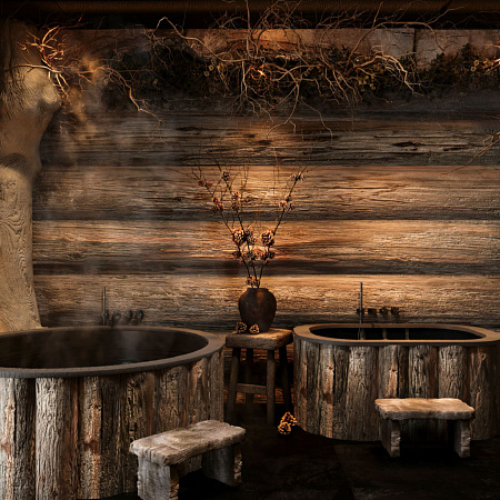 Концепция и дизайн-проект банного комплекса